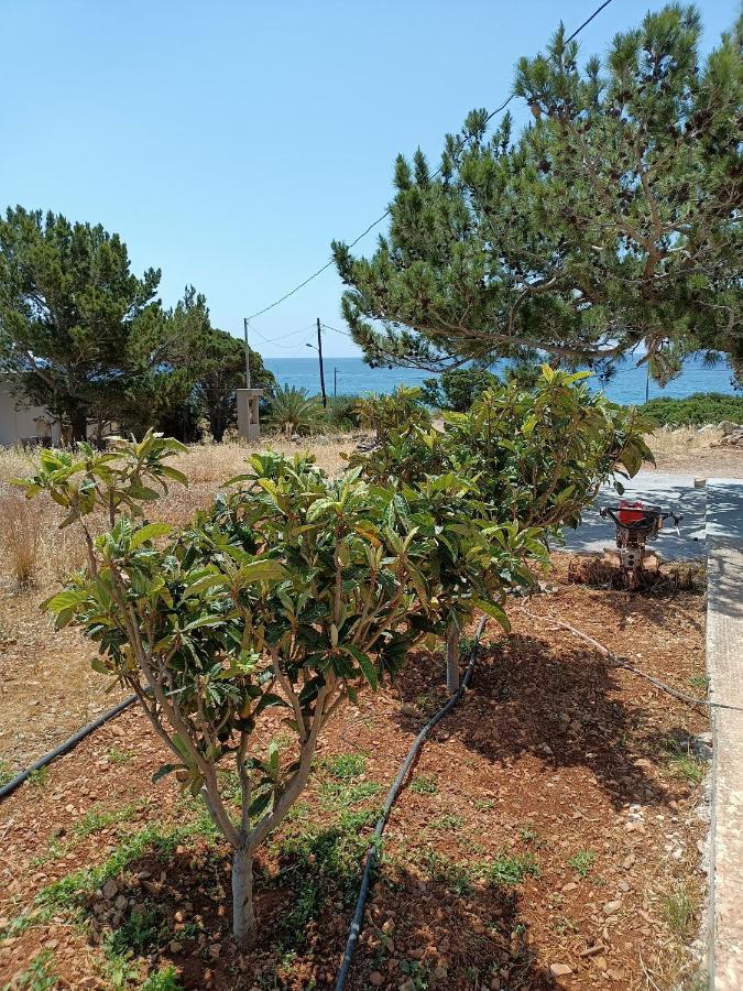 Sea View Pine House Villa มากรีเยียลอส ภายนอก รูปภาพ